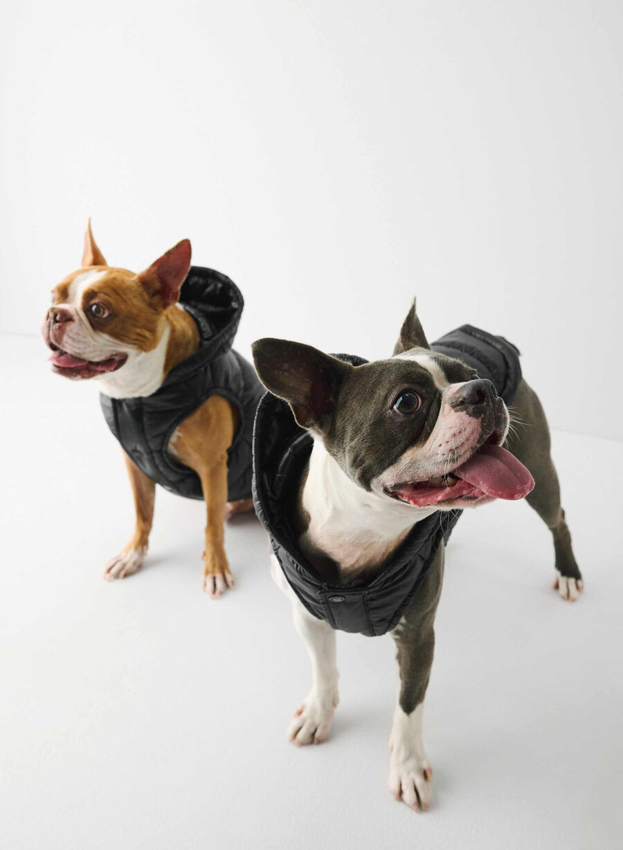 super ruff puff - negru foarte lucios