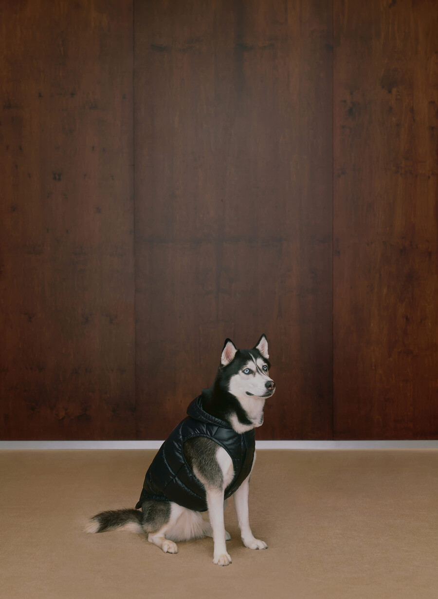 super ruff puff - negru foarte lucios
