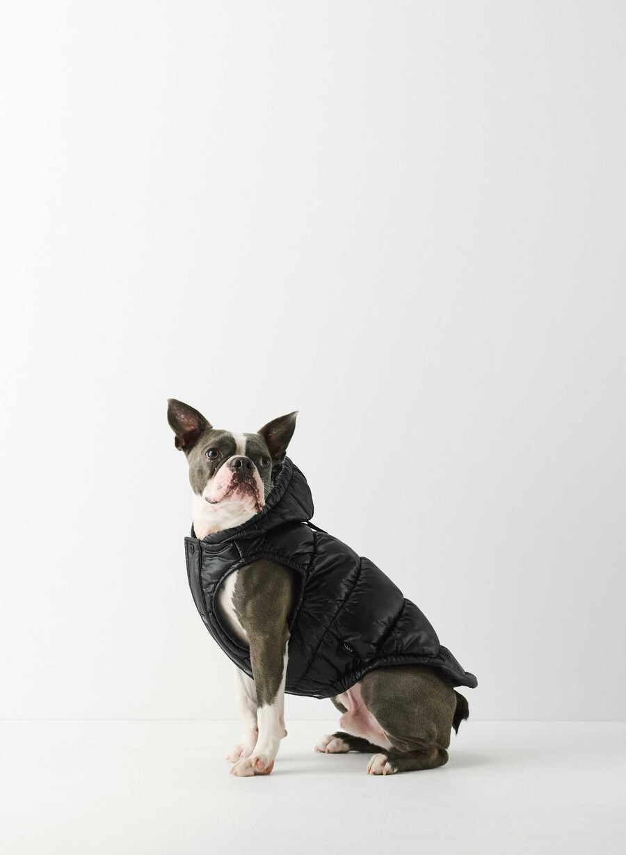 super ruff puff - roșu intermitent lucios