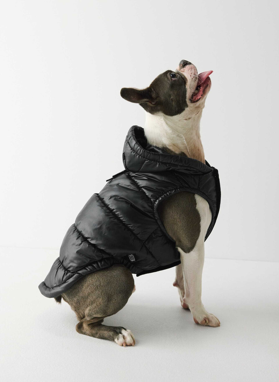 super ruff puff - roșu intermitent lucios